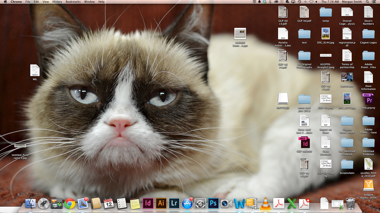 grumpy kitty on desktop