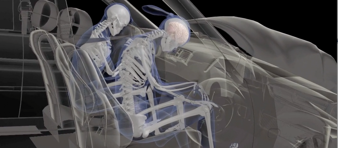 Skeletons - biomechanical animation